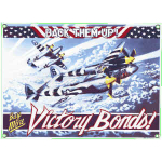 Placa"P-38 Lightning" II War aço Ande Rooney #AR-P38