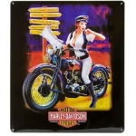 Placa Harley Davidson Motorcycles Woman Crossroads  Ande Rooney #AR-HARLEY2 - Imagem 2